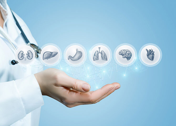 nouriche-wellness-internalmedicine